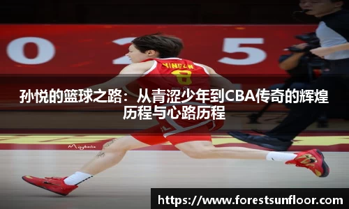 球速体育孙悦的篮球之路：从青涩少年到CBA传奇的辉煌历程与心路历程